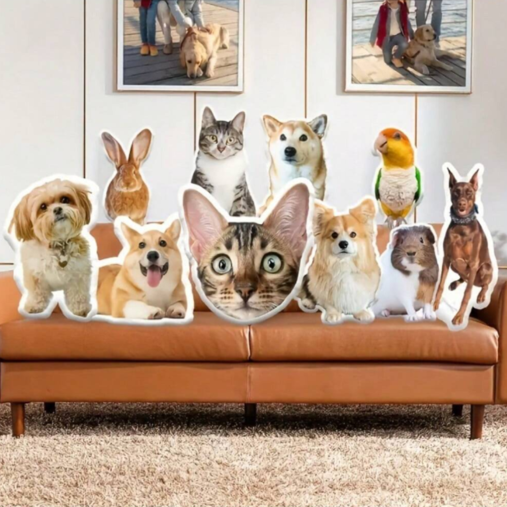 🐾 Cojín Personalizado con la Forma de tu Mascota – ¡Tu Peludo en Versión Achuchable! 🐶🐱