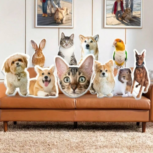 🐾 Cojín Personalizado con la Forma de tu Mascota – ¡Tu Peludo en Versión Achuchable! 🐶🐱