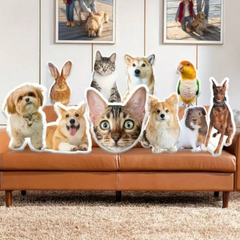 🐾 Cojín Personalizado con la Forma de tu Mascota – ¡Tu Peludo en Versión Achuchable! 🐶🐱