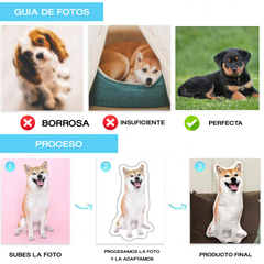 🐾 Cojín Personalizado con la Forma de tu Mascota – ¡Tu Peludo en Versión Achuchable! 🐶🐱