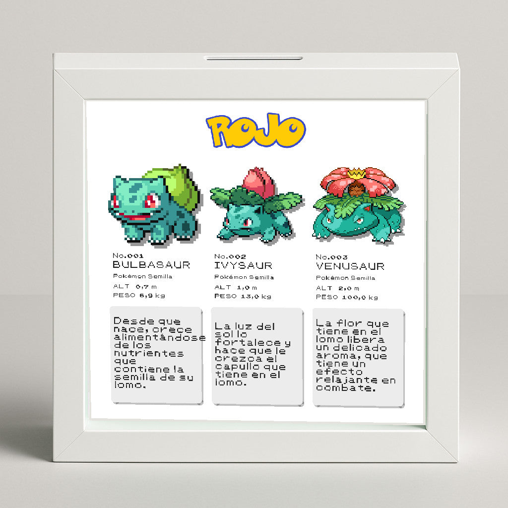 🖼️ Marco Hucha Evoluciona – Tu Pokémon y su línea evolutiva